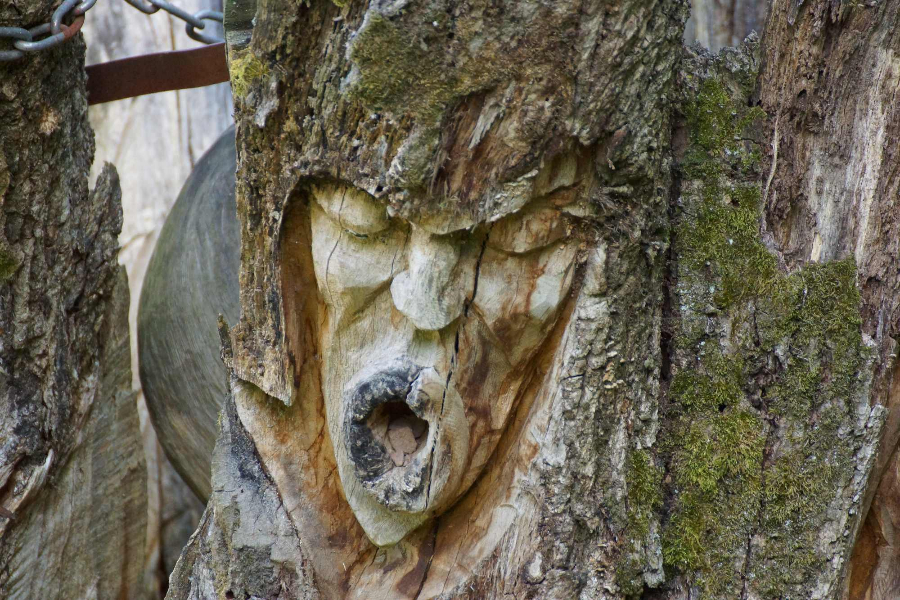 skulpturenpfad-waldmenschen-freiburg-thomas-rees-01