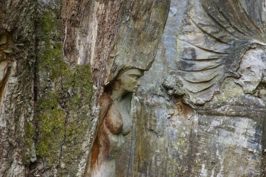 skulpturenpfad-waldmenschen-freiburg-thomas-rees-02