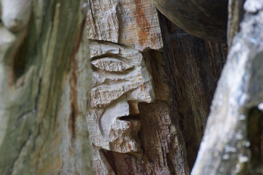 skulpturenpfad-waldmenschen-freiburg-thomas-rees-10