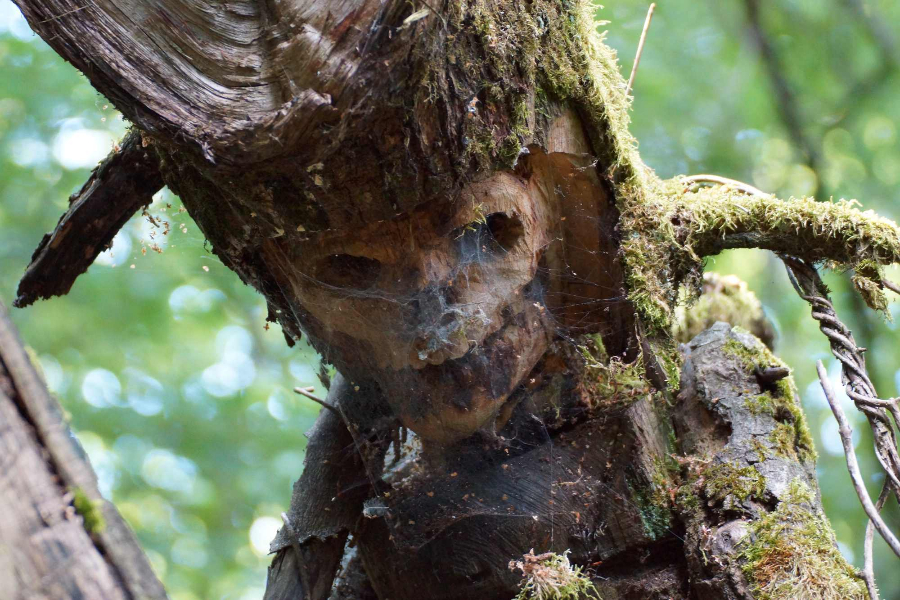 skulpturenpfad-waldmenschen-freiburg-thomas-rees-29