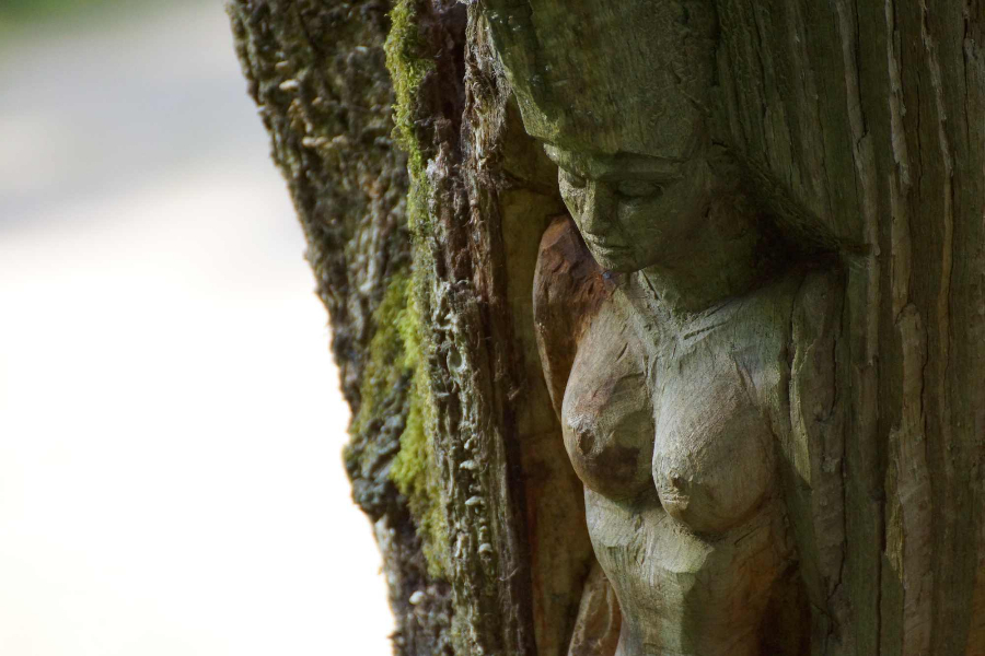 skulpturenpfad-waldmenschen-freiburg-thomas-rees-76