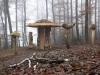 Hexenring , Herbstgrau, thomas rees 15