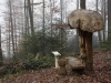 Mycelium, Novembergrau, thomas rees 33