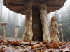 Mycelium, Novembergrau, thomas rees 34