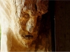 Mycelium, Novembergrau, thomas rees 50