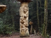 Mycelium, Novembergrau, thomas rees 70