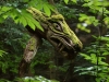 Sternwalddrache 2014, thomas rees 08