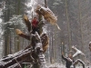 Sternwalddrache 272