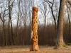 die-eiche-im-opfinger-wald-thomas-rees
