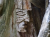 skulpturenpfad-waldmenschen-freiburg-thomas-rees-10