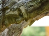 skulpturenpfad-waldmenschen-freiburg-thomas-rees-71