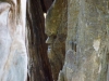 skulpturenpfad-waldmenschen-freiburg-thomas-rees-72