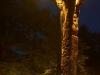 Waldhock, Festplatz Hochdorf, Weltenlenker 01.07.2016 0041