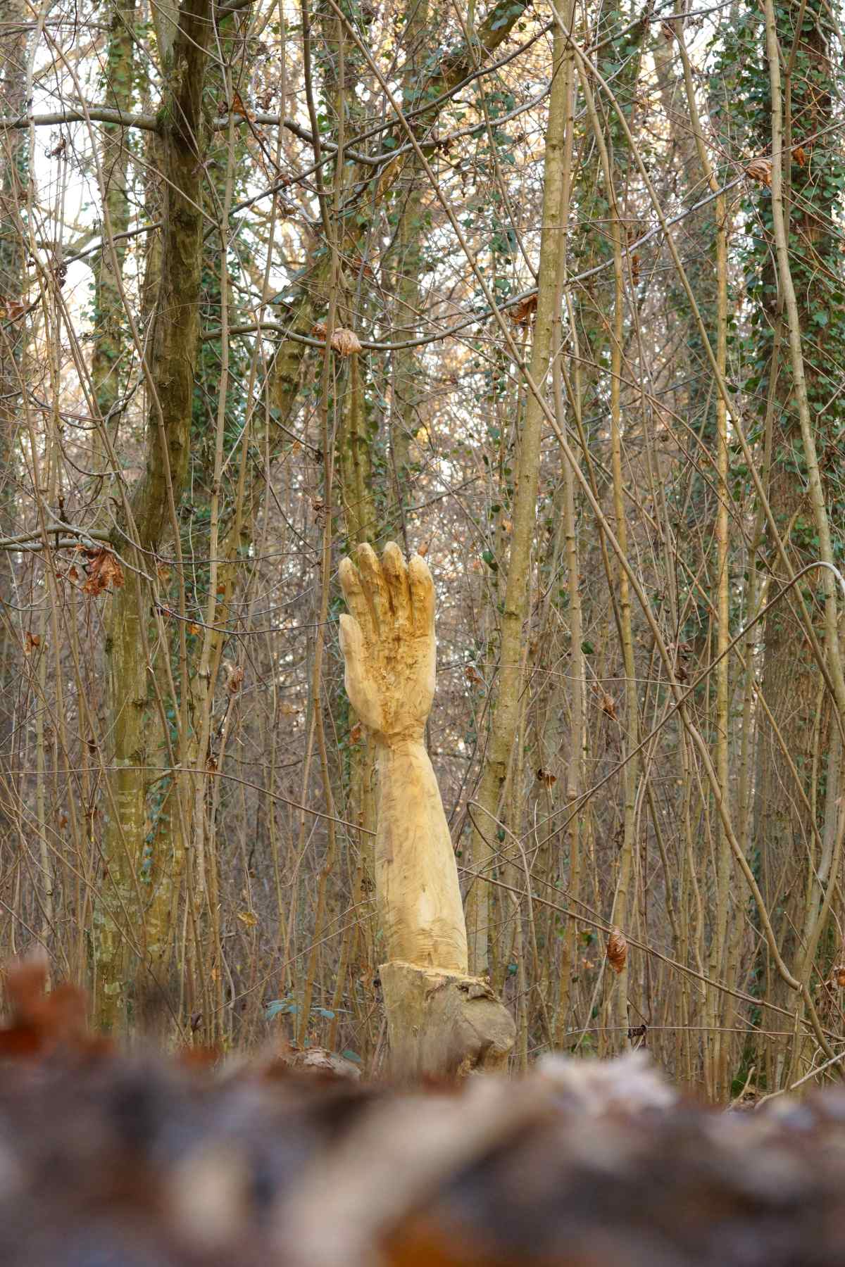 Waldtor Entstehung, thomas rees 70
