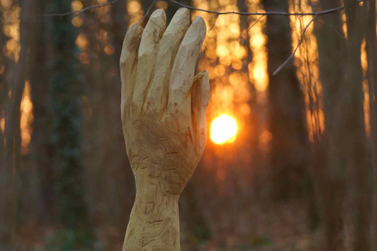 Waldtor Entstehung, thomas rees 72