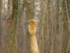Waldtor Entstehung, thomas rees 70
