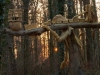 Waldtor Entstehung, thomas rees 71