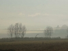das Waldtor, in Freiburg-Waltershofen  , thomas rees 01