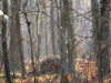 das Waldtor, in Freiburg-Waltershofen  , thomas rees 17