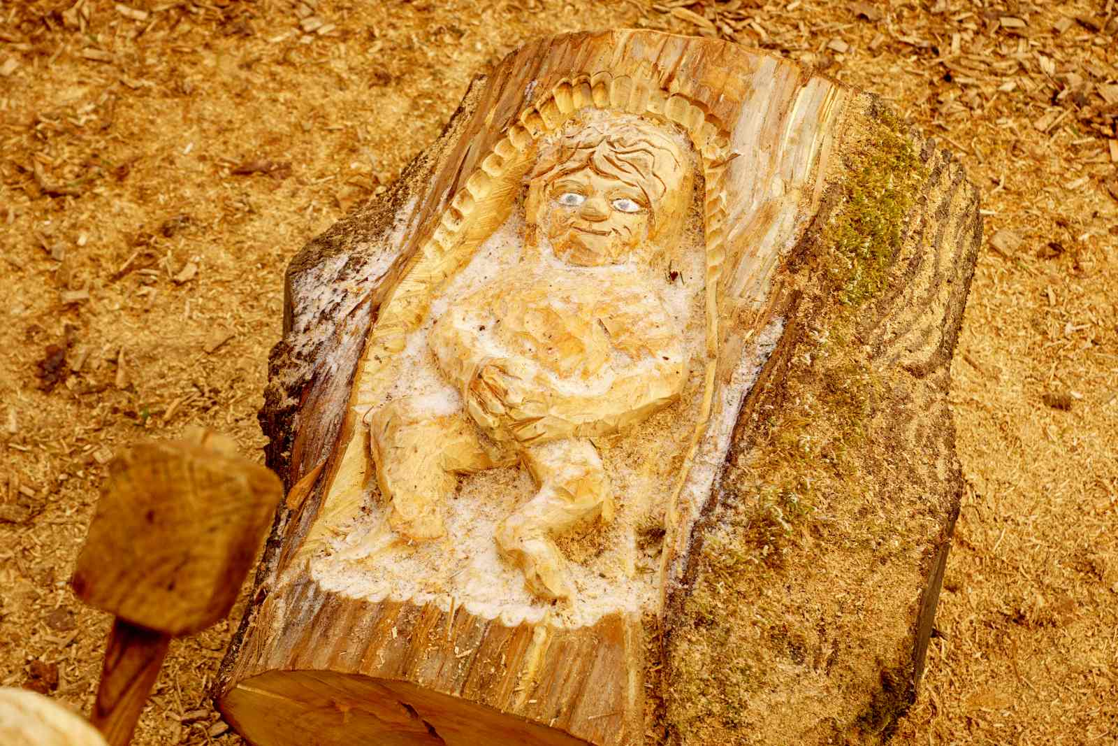 Weihnachten-auf-dem-Pfeiferberg37