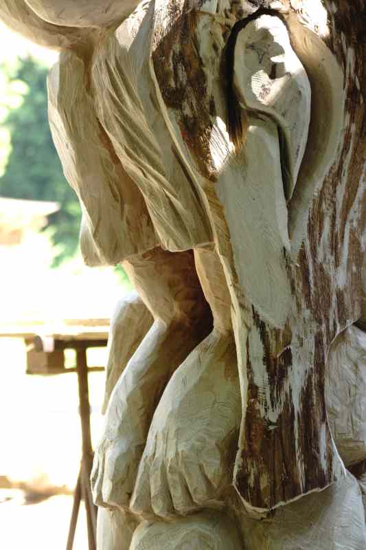 Weib, Wein und Wiedehopf,  thomas rees 35