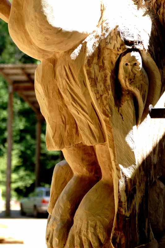 Weib, Wein und Wiedehopf,  thomas rees 40