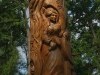 Bild1