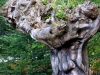 skulpturenpfad-waldmenschen-freiburg-thomas-rees-90