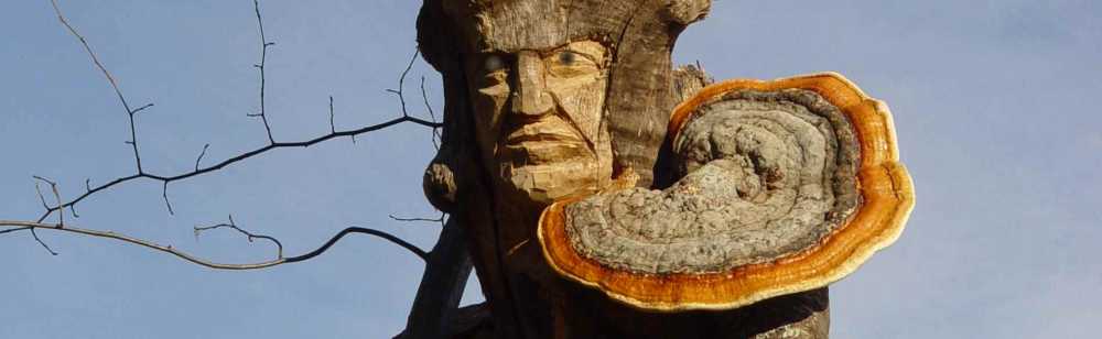 BegegnungWeihnachte 2006, Pfeiferberg