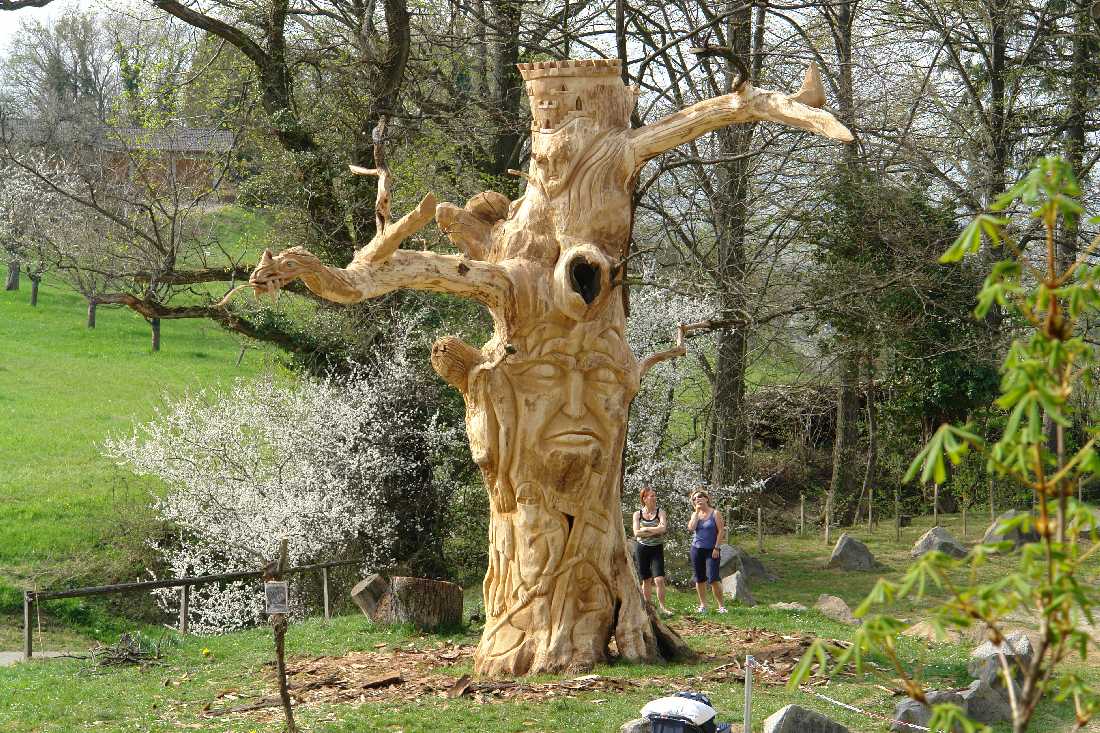die Gerichtseiche